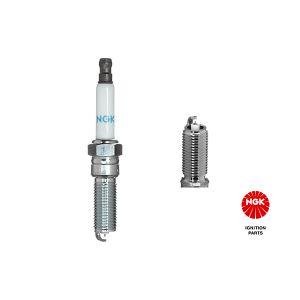 Spark Plug - TR5B-13