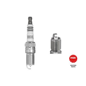 Spark Plug - TR6AP-13