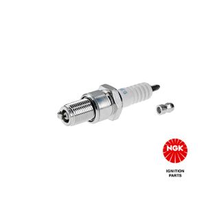 Ignition Coils