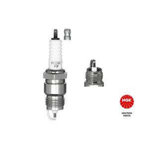 Spark Plug - ZFR6F-11G