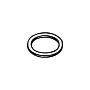 Exhaust Gasket